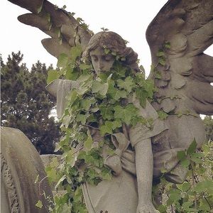 Meet your Posher, Kendra